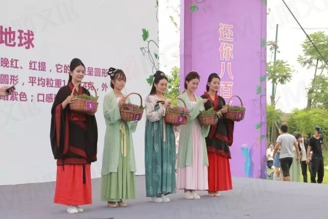 繽紛葡萄節(jié)，打響彭山旅游第一炮！