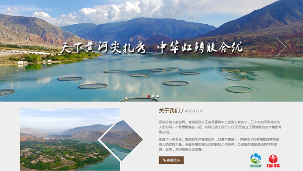 青海聯(lián)合水產(chǎn)集團(tuán)有限公司官網(wǎng)設(shè)計(jì)