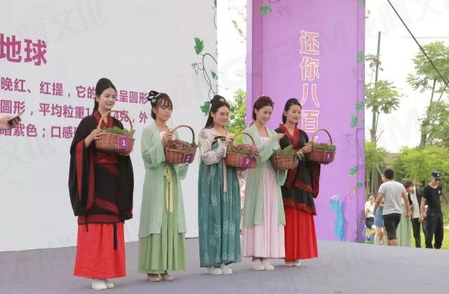 繽紛葡萄節(jié)，打響彭山旅游第一炮！