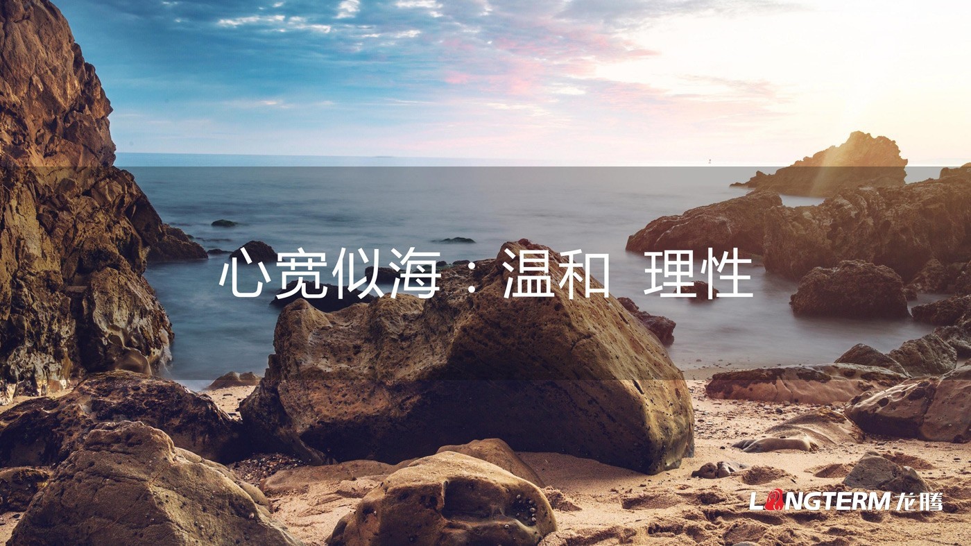 四川海巖聲學科技有限公司LOGO設計方案及全套視覺設計方案