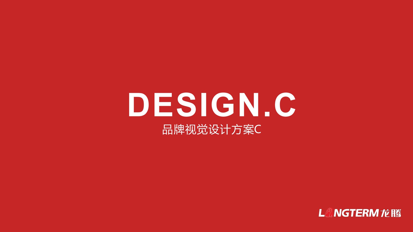 四川海巖聲學科技有限公司LOGO設計方案及全套視覺設計方案